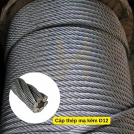 cap-thep-ma-kem-D12